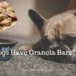 Can Dogs Have Granola Bars?