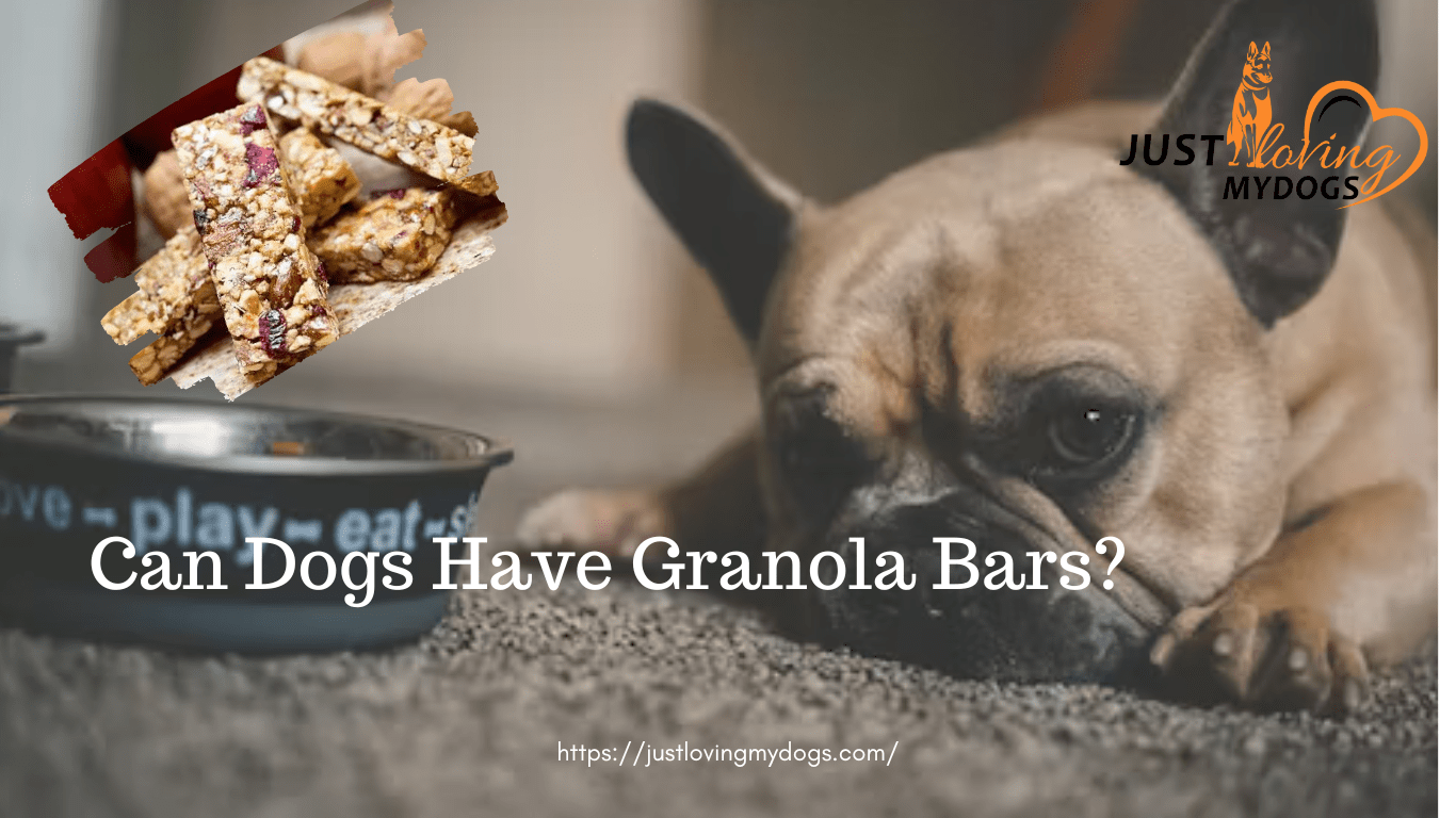 Can Dogs Have Granola Bars?