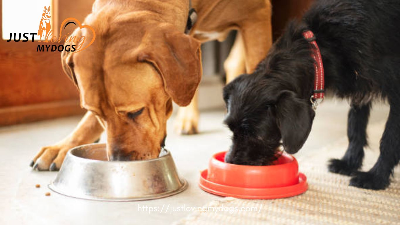 Can Dogs Eat Raw Chicken Gizzards A Comprehensive Guide Just Loving My Dogs