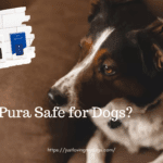 Is Pura Safe for Dogs?