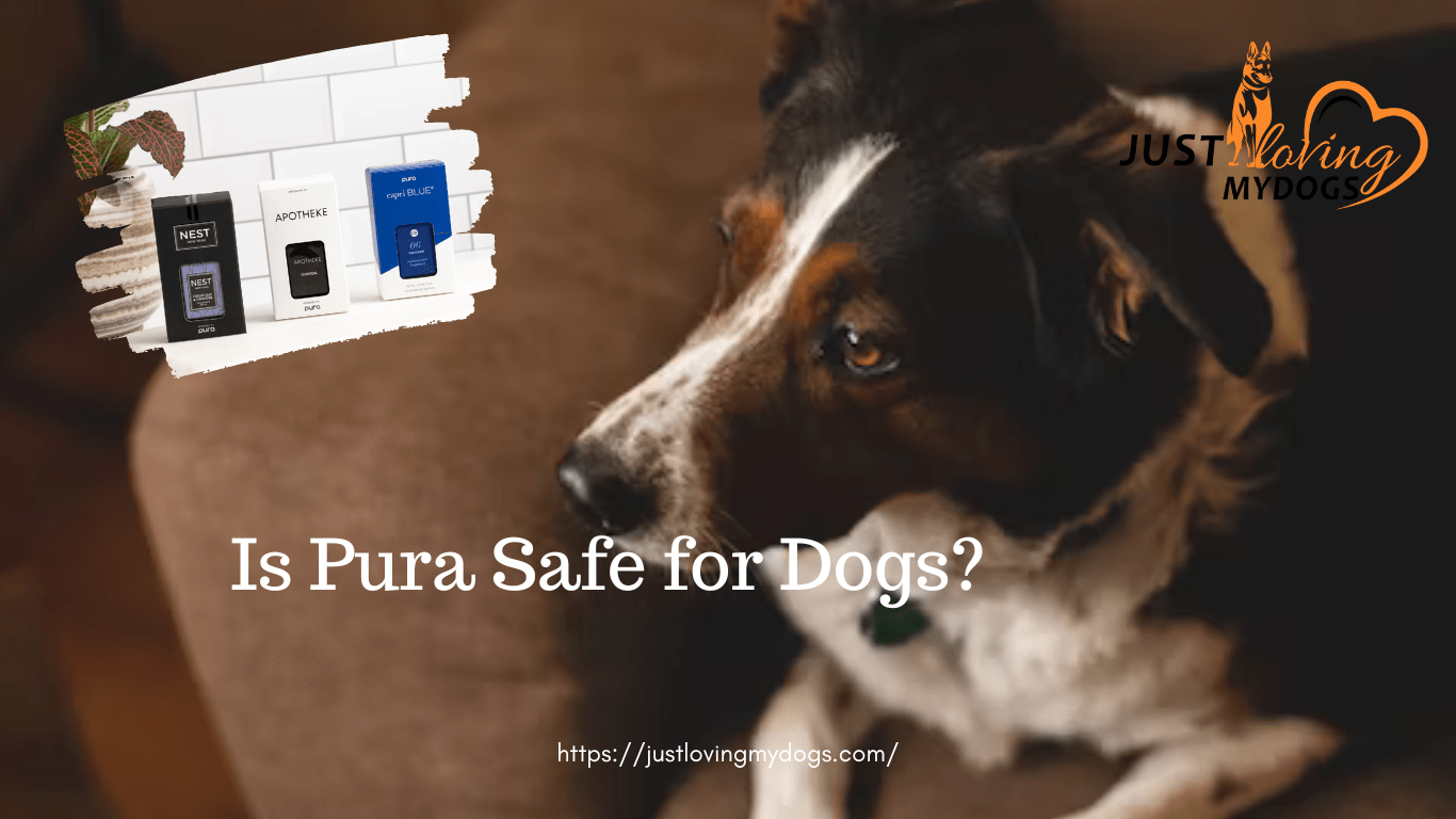 Is Pura Safe for Dogs?